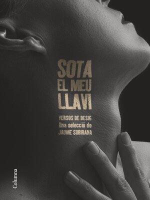cover image of Sota el meu llavi